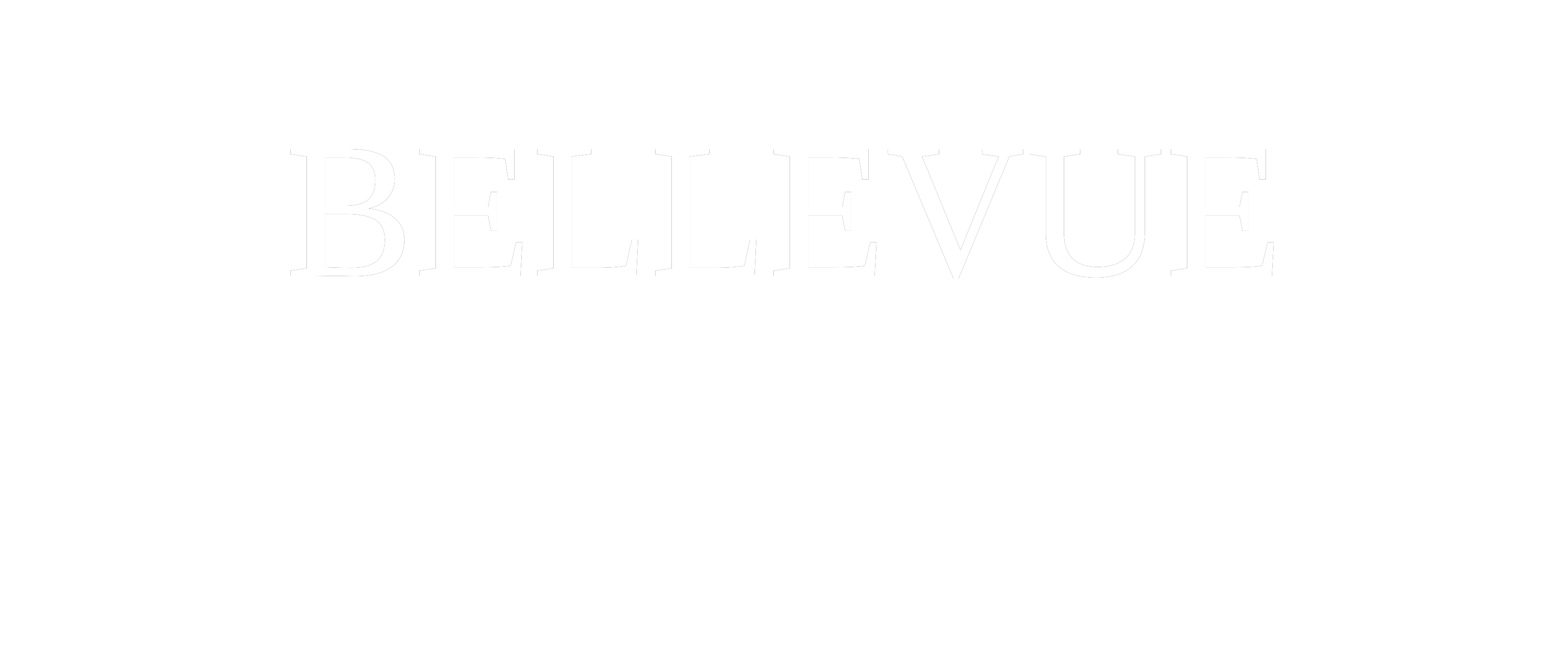 Brasserie Bellevue